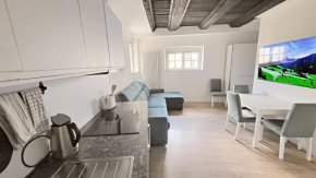 2-Room Apt Central, Mountain View, WiFi Netflix AC Lift